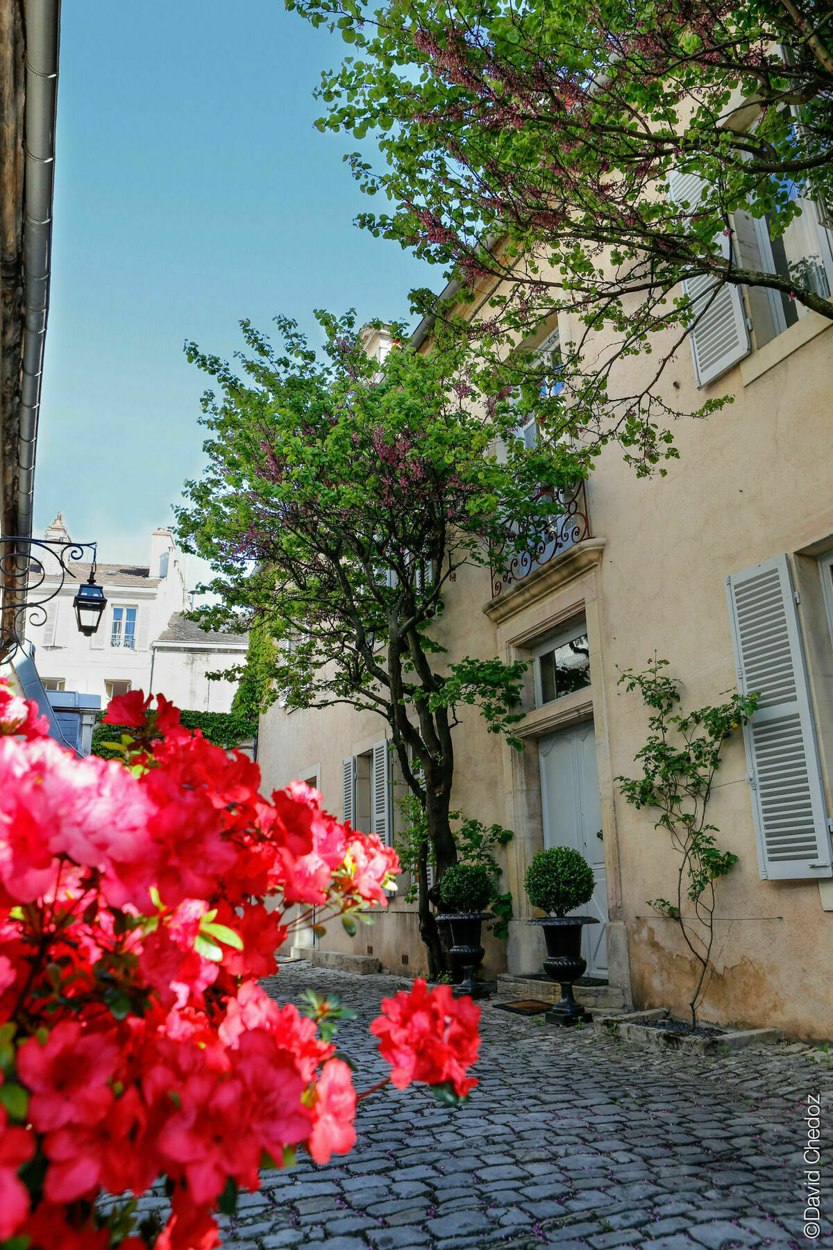 Hotel La Cour Berbisey - Teritoria Dijon Zewnętrze zdjęcie